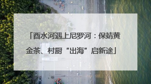 酉水河遇上尼罗河：保靖黄金茶、村厨“出海”启新途