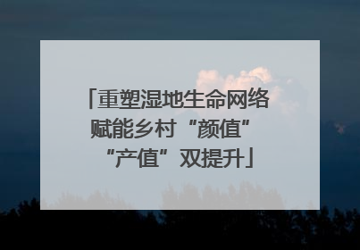 重塑湿地生命网络 赋能乡村“颜值”“产值”双提升