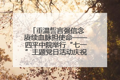 重温誓言强信念 赓续血脉担使命——四平中院举行“七一”主题党日活动庆祝建党104周年