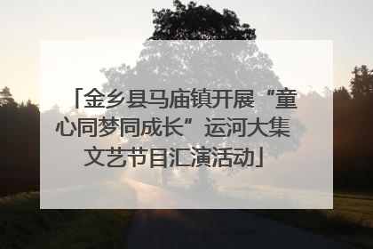 金乡县马庙镇开展“童心同梦同成长”运河大集文艺节目汇演活动