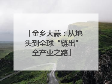 金乡大蒜：从地头到全球“链出”全产业之路