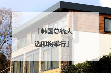 韩国总统大选即将举行
