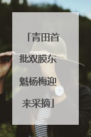 青田首批双膜东魁杨梅迎来采摘
