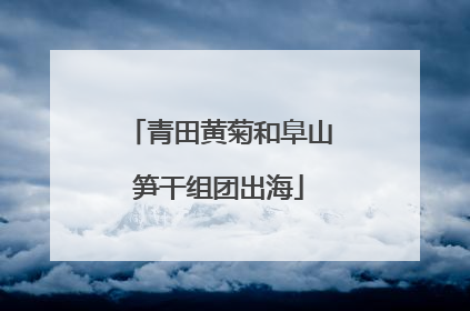 青田黄菊和阜山笋干组团出海