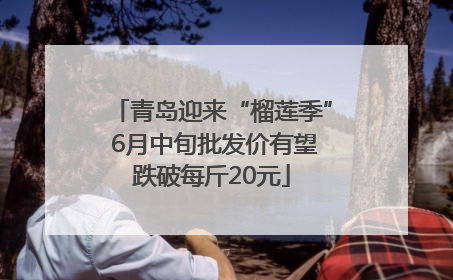 青岛迎来“榴莲季” 6月中旬批发价有望跌破每斤20元