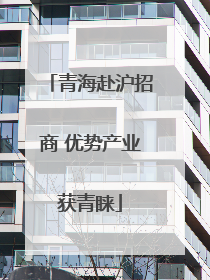青海赴沪招商 优势产业获青睐
