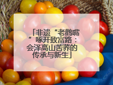 非遗“老鹳嘴”啄开致富路：会泽高山苦荞的传承与新生