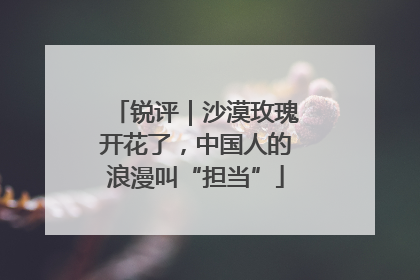 锐评｜沙漠玫瑰开花了，中国人的浪漫叫“担当”