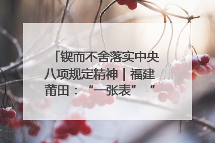 锲而不舍落实中央八项规定精神｜福建莆田：“一张表”“一张图”为基层减轻“数字负担”