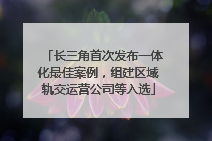 长三角首次发布一体化最佳案例，组建区域轨交运营公司等入选