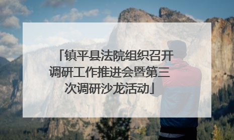 镇平县法院组织召开调研工作推进会暨第三次调研沙龙活动