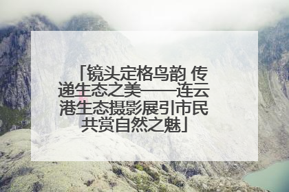 镜头定格鸟韵 传递生态之美——连云港生态摄影展引市民共赏自然之魅