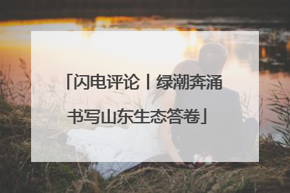 闪电评论丨绿潮奔涌 书写山东生态答卷