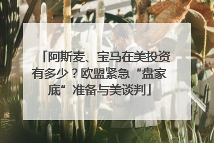 阿斯麦、宝马在美投资有多少？欧盟紧急“盘家底”准备与美谈判