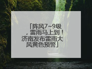 阵风7~9级，雷雨马上到！济南发布雷雨大风黄色预警