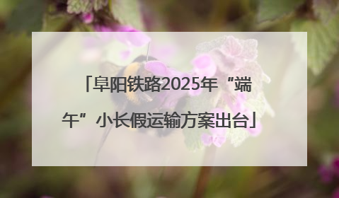 阜阳铁路2025年“端午”小长假运输方案出台