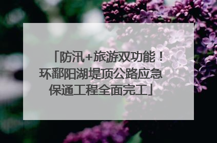 防汛+旅游双功能！环鄱阳湖堤顶公路应急保通工程全面完工