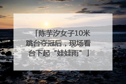陈芋汐女子10米跳台夺冠后，现场看台下起“娃娃雨”