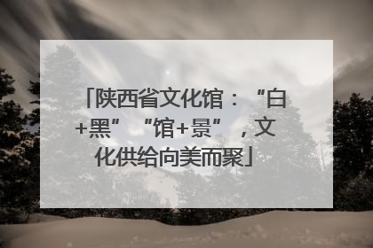 陕西省文化馆：“白+黑”“馆+景”，文化供给向美而聚