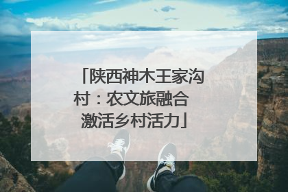 陕西神木王家沟村：农文旅融合 激活乡村活力