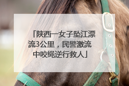 陕西一女子坠江漂流3公里，民警激流中咬绳逆行救人