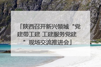 陕西召开新兴领域“党建带工建 工建服务党建”现场交流推进会