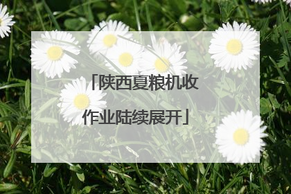 陕西夏粮机收作业陆续展开