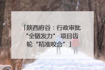 陕西府谷：行政审批“全链发力” 项目齿轮“精准咬合”