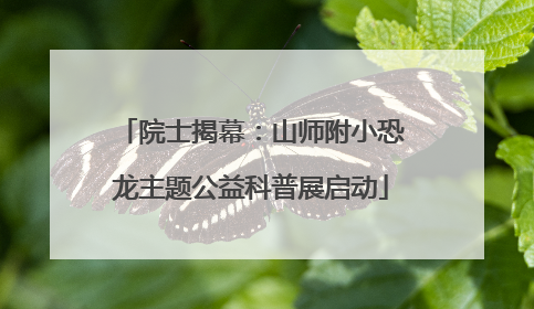 院士揭幕：山师附小恐龙主题公益科普展启动