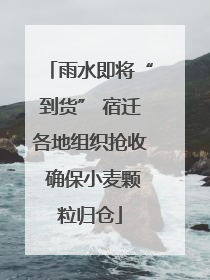雨水即将“到货” 宿迁各地组织抢收 确保小麦颗粒归仓