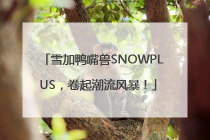 雪加鸭嘴兽SNOWPLUS，卷起潮流风暴！