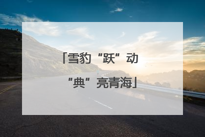 雪豹“跃”动 “典”亮青海