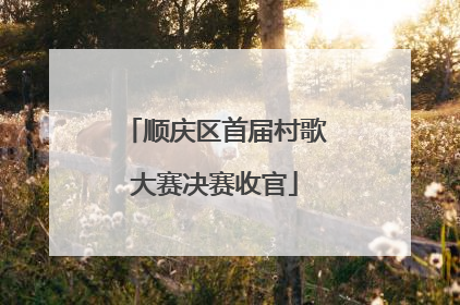 顺庆区首届村歌大赛决赛收官