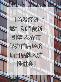 首发经济“燃”动消费新引擎 泰安市举办首店经济项目品牌入驻推进会
