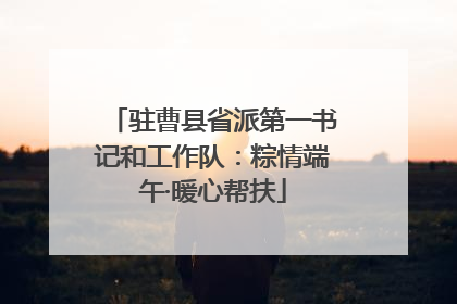 驻曹县省派第一书记和工作队：粽情端午·暖心帮扶