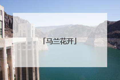 马兰花开
