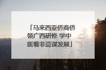 马来西亚侨商侨领广西研修 学中医看非遗谋发展