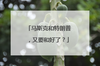马斯克和特朗普，又要和好了？