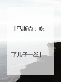 马斯克：吃了儿子一拳