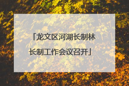 龙文区河湖长制林长制工作会议召开