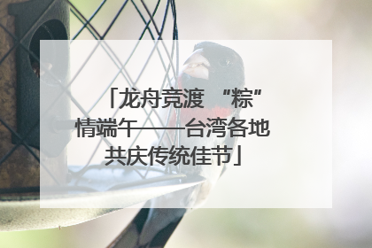 龙舟竞渡 “粽”情端午——台湾各地共庆传统佳节