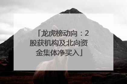 龙虎榜动向：2股获机构及北向资金集体净买入