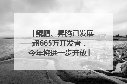鲲鹏、昇腾已发展超665万开发者，今年将进一步开放