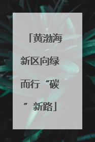 黄渤海新区向绿而行“碳”新路