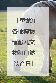 黑龙江各地博物馆献礼文物和自然遗产日