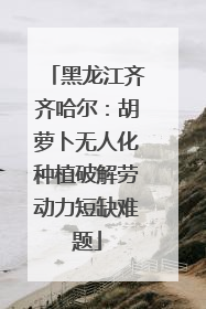 黑龙江齐齐哈尔：胡萝卜无人化种植破解劳动力短缺难题