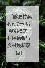 黟县竹溪村创新环境整治模式 村民增收与乡村焕新双赢