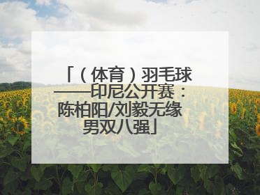 （体育）羽毛球——印尼公开赛：陈柏阳/刘毅无缘男双八强