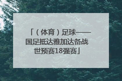 （体育）足球——国足抵达雅加达备战世预赛18强赛