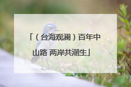 （台海观澜）百年中山路 两岸共潮生